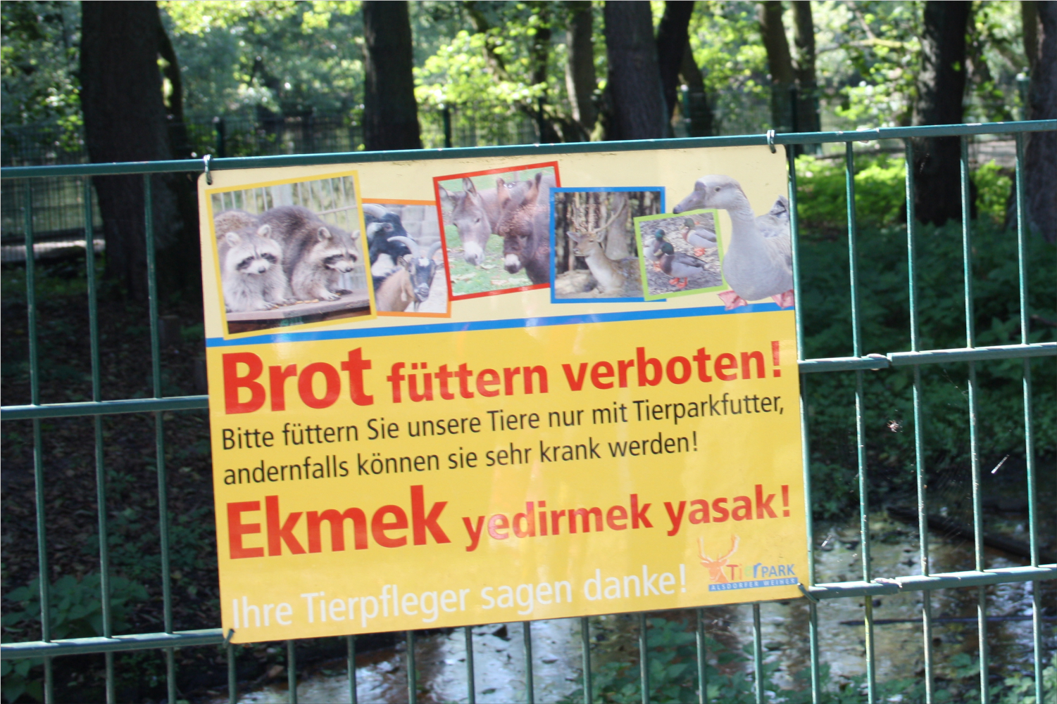Quer-Kein Brot füttern Foto Stadt Alsdorf – Marion Wingen